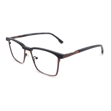 Plato in Russet Eyeglasses - sightonomy